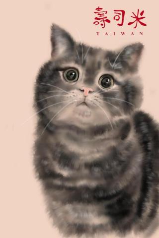 kiwi 設計工作室 - 