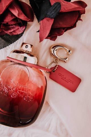 Anber Photography - 香水產品攝影