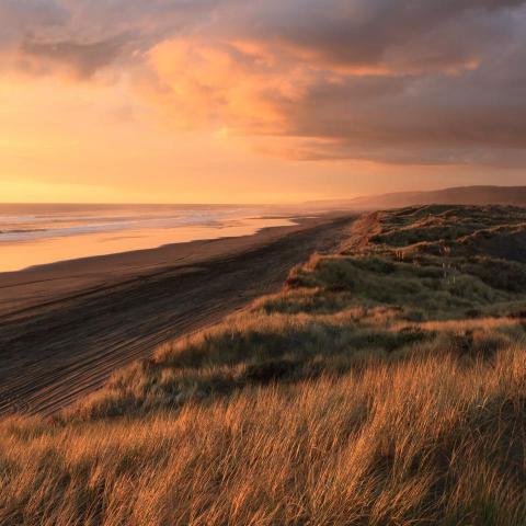 提供刻印章便宜服務的專家彭柏愷