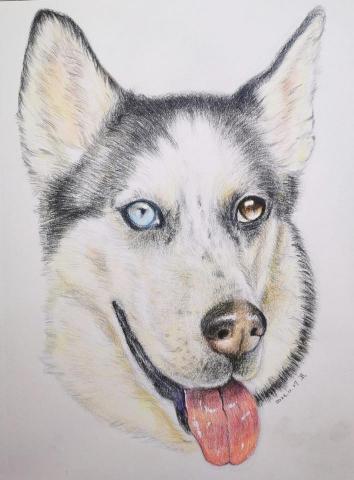 小星人俱樂部 - 色鉛筆/寵物似顏繪 小星人俱樂部 - 色鉛筆/寵物似顏繪