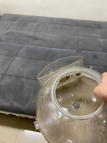 樂適生活科技 - 另有水濾式服務，讓消費者多一份參考