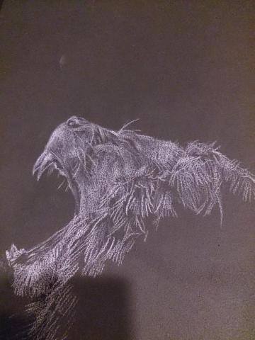 洋 - 黑紙 白色色鉛筆製圖