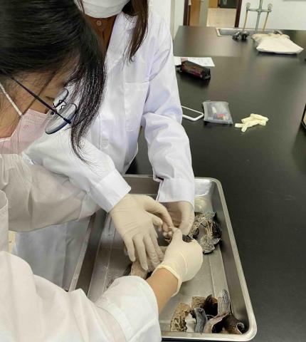 林惟熙 - 生物實驗實作過程