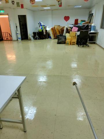 皓泰環保服務有限公司 - 除蚤作業 地毯式噴藥