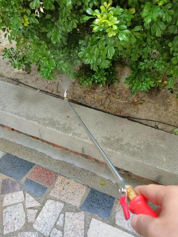 皓泰環保服務有限公司 - 社區大廈外圍綠化帶消毒