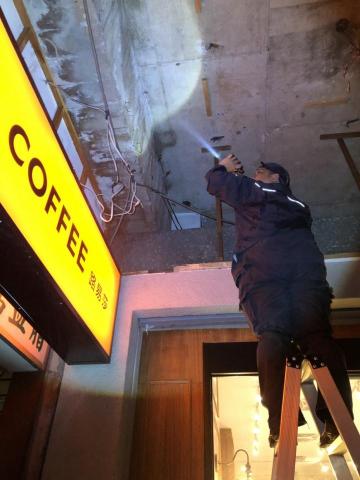 皓泰環保服務有限公司 - 白蟻防治