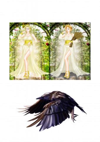 7shop - 插畫設計