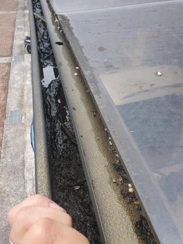 永昇包通 - 排水堵塞 永昇包通 - 排水堵塞