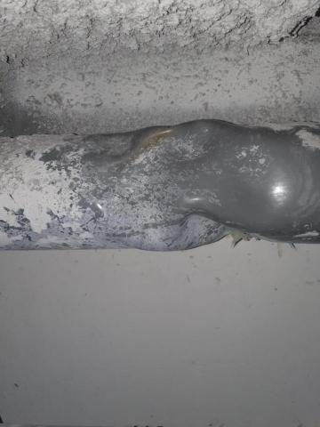 永昇包通 - 修改老舊變形的公共幹管 永昇包通 - 修改老舊變形的公共幹管