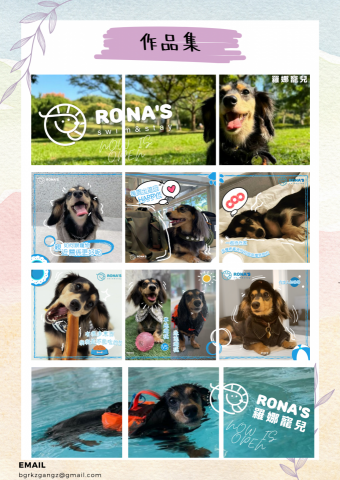 Yu - 寵物IG版面設計