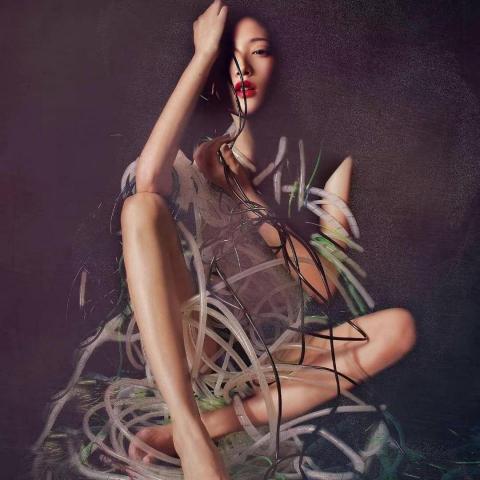 夏葛耳攝影工作室 - 