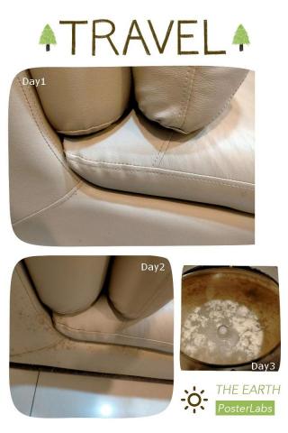 李姿璇Sandy  - 沙發清潔保養除蟎