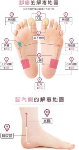 CH到府按摩 - 反射區 CH到府按摩 - 反射區