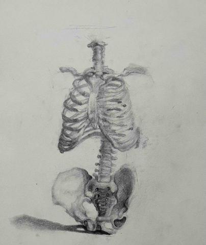 Tony繪畫藝術空間 - 