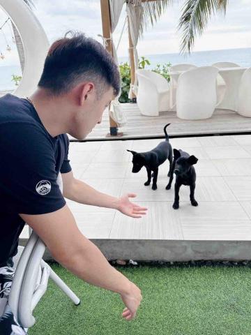 提供兼職服務的專家豐豐兼職