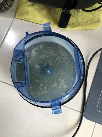 洗芯潔專業洗床墊 除蟎 - 除蟎第三次