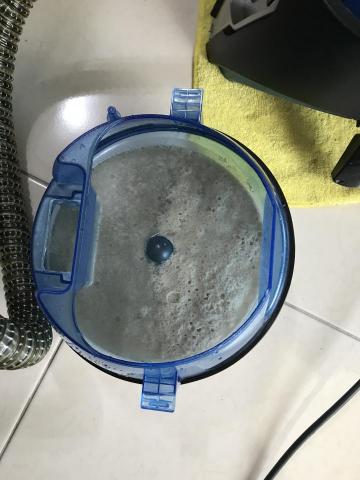 洗芯潔專業洗床墊 除蟎 - 除蟎第二次