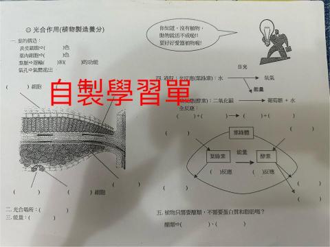 Elina  徐老師 - 自製學習單