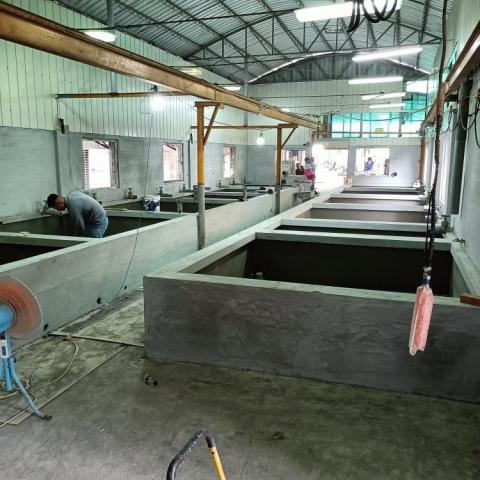 李世欽(豪麟工程)(免開挖、免打鑿地磚牆壁,當日可修 - 屏東某鰻魚大廠,鰻魚養殖池防水工程施作 李世欽(豪麟工程)(免開挖、免打鑿地磚牆壁,當日可修 - 屏東某鰻魚大廠,鰻魚養殖池防水工程施作