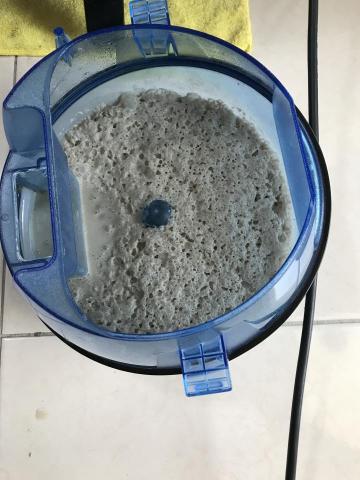 洗芯潔專業洗床墊 除蟎 - 除蟎第一次