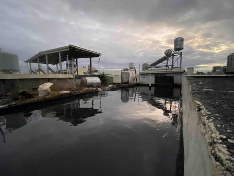 紫云府有限公司 - 