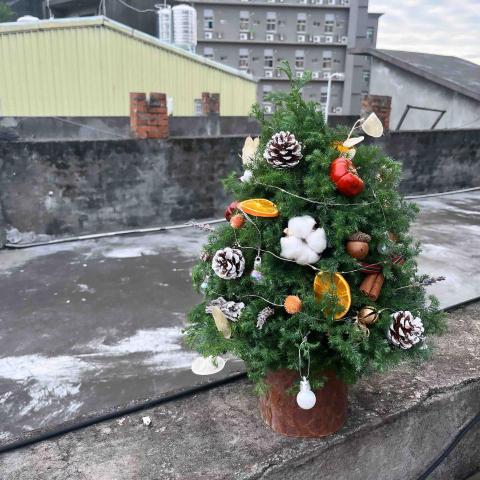 Happiness comes 花藝工作坊 - 聖誕樹