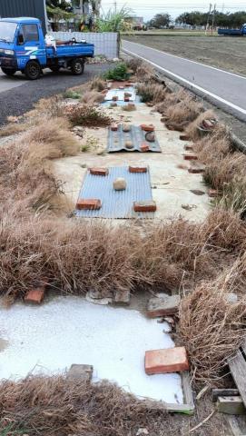 柏君園藝 -  柏君園藝 -