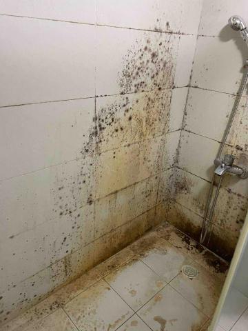 潔淨寶劉士綺 - 