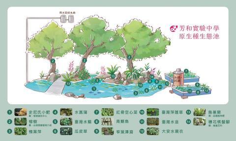 酷拉拉-插畫設計師 - 學校生態池說明圖繪製