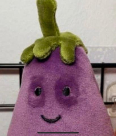 提供孫盛希服務的專家范希祤