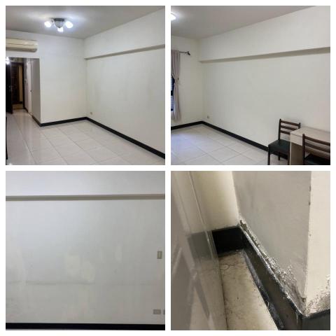 大正抓漏防水 - 壁癌 油漆