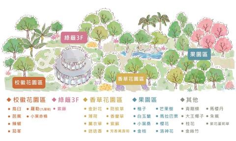 酷拉拉-插畫設計師 - 學校花園植物分佈繪製