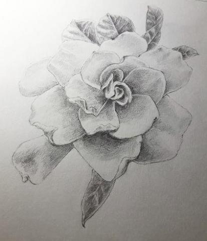 小星人俱樂部 - 鉛筆素描/茉莉花 小星人俱樂部 - 鉛筆素描/茉莉花