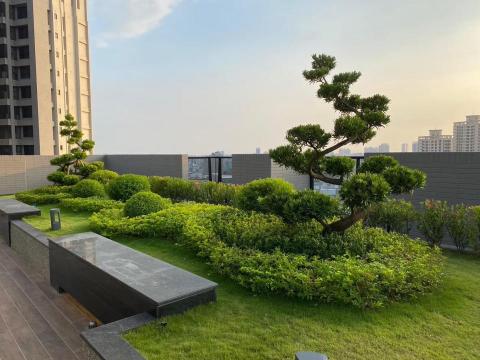 綠植大叔園藝工作室 - 