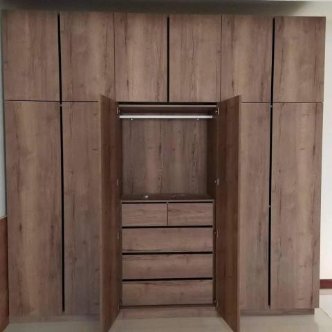 家成-樹上的貓與鷹 - 