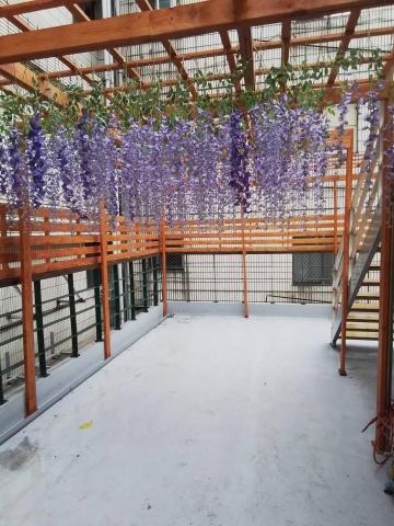 賀品富有限公司 - 桃園商場客製紫藤花架