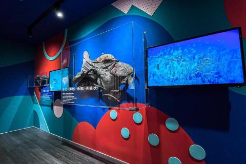 緒靄設計 - 《展場設計》
台灣海洋藝術館 Taiwan Ocean Artistic Museum
貨櫃藝術館