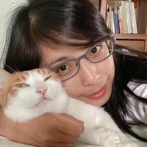 提供toeic題庫服務的專家SavannahEnglish