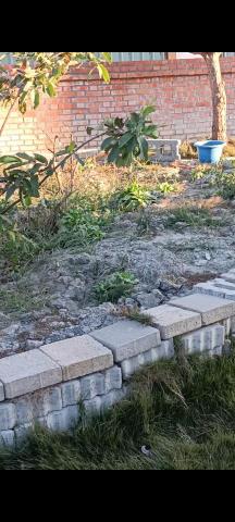 柏君園藝 -  柏君園藝 -