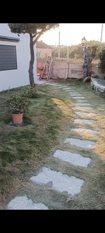 柏君園藝 -  柏君園藝 -