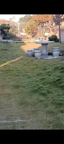 柏君園藝 -  柏君園藝 -