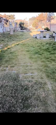 柏君園藝 -  柏君園藝 -