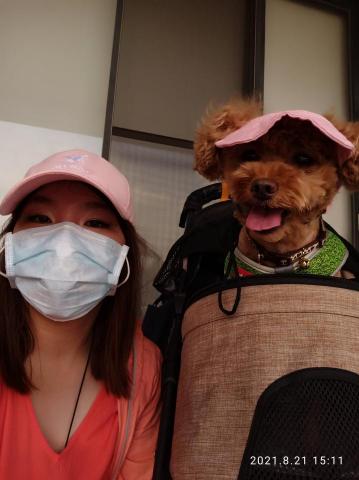 毛小寶寵物保母 - 