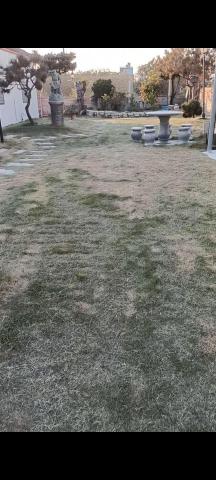 柏君園藝 -  柏君園藝 -