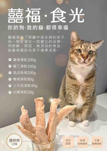 紫丁香設計工作室 -  紫丁香設計工作室 -