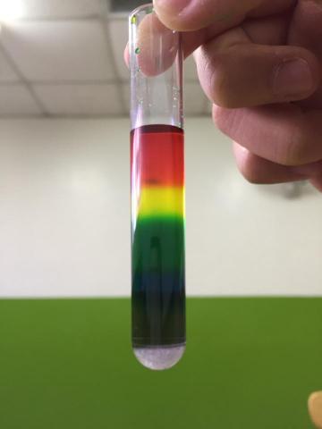 陳姿陵-家教 - 學生完成的成品