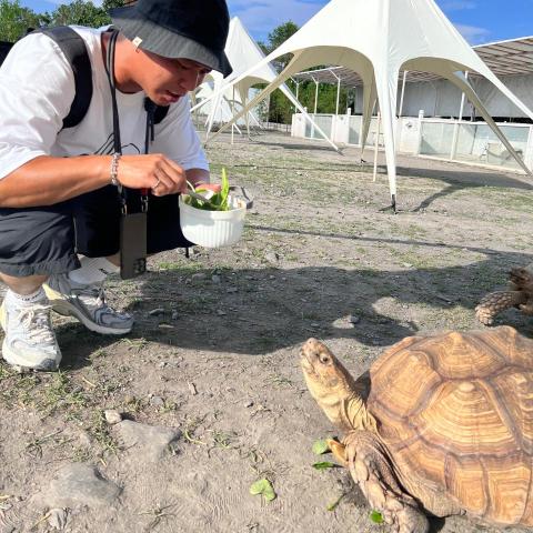 提供牛皮革服務的專家牛先生
