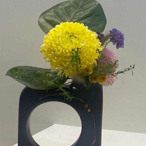 提供120服務的專家English A++