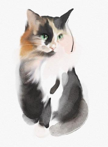 littleminerssx -  littleminerssx -