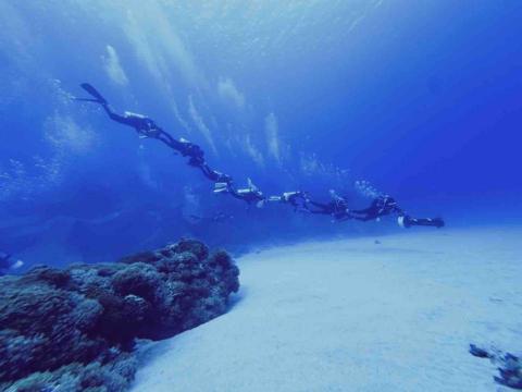天晴潛水-小江教練 - 在海下搭計程車